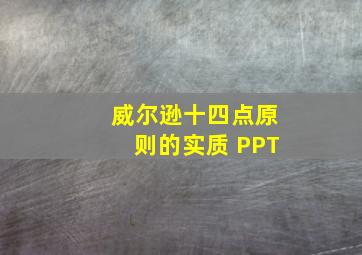 威尔逊十四点原则的实质 PPT